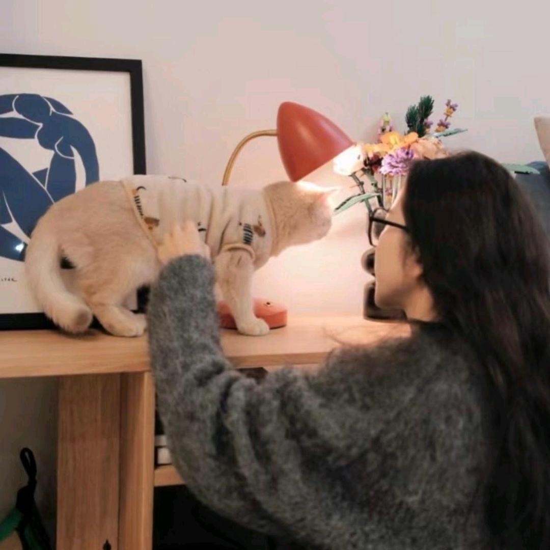 小雪的床品日记