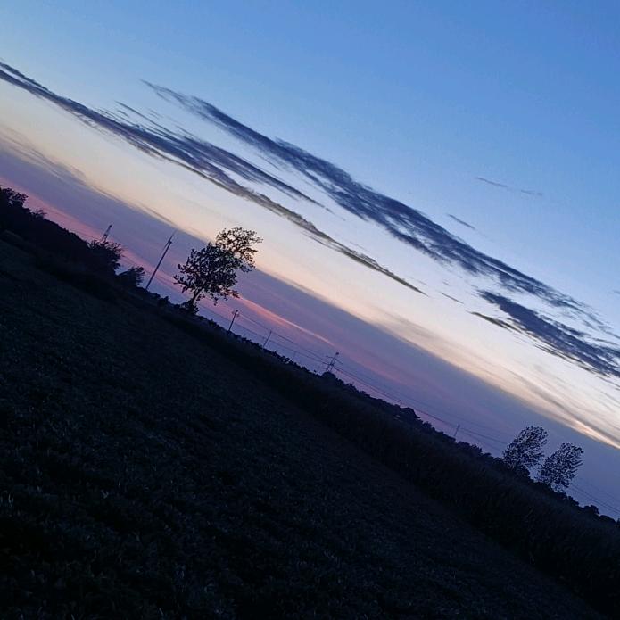 🌸এ᭄刚好ꦿ遇见你💞ོ࿐