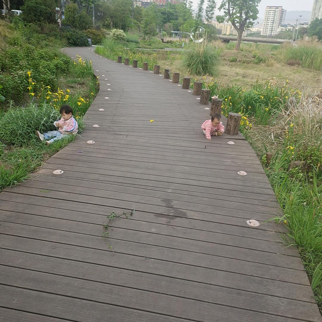 彩虹🌈桥，彩虹🌈糖🌿🍀☘️🌿