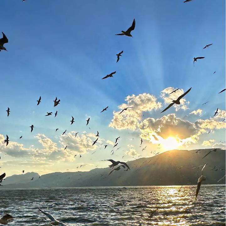 泰然说