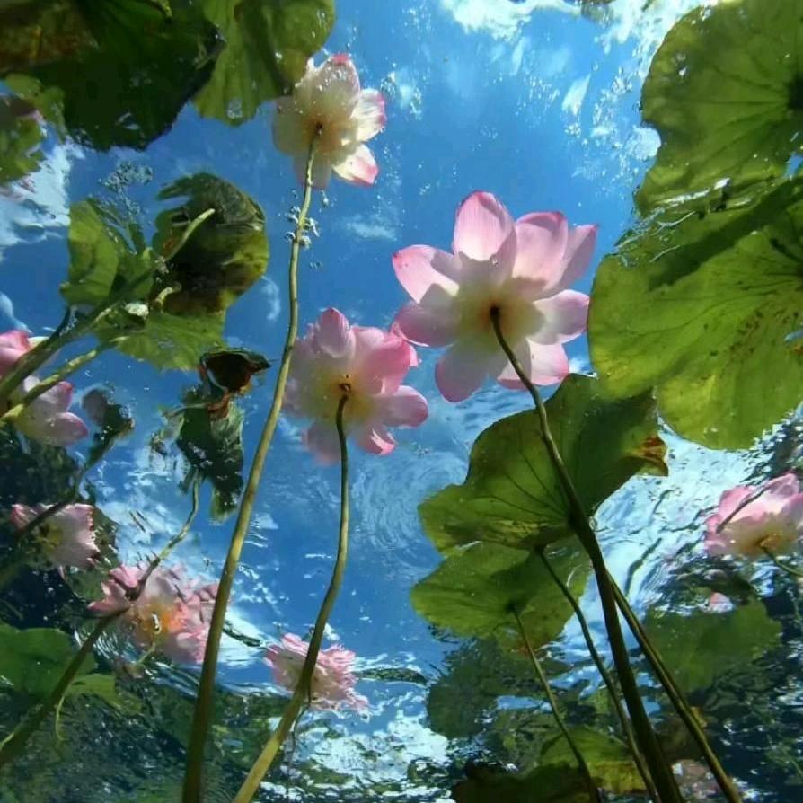 东华理工大学小泉学姐