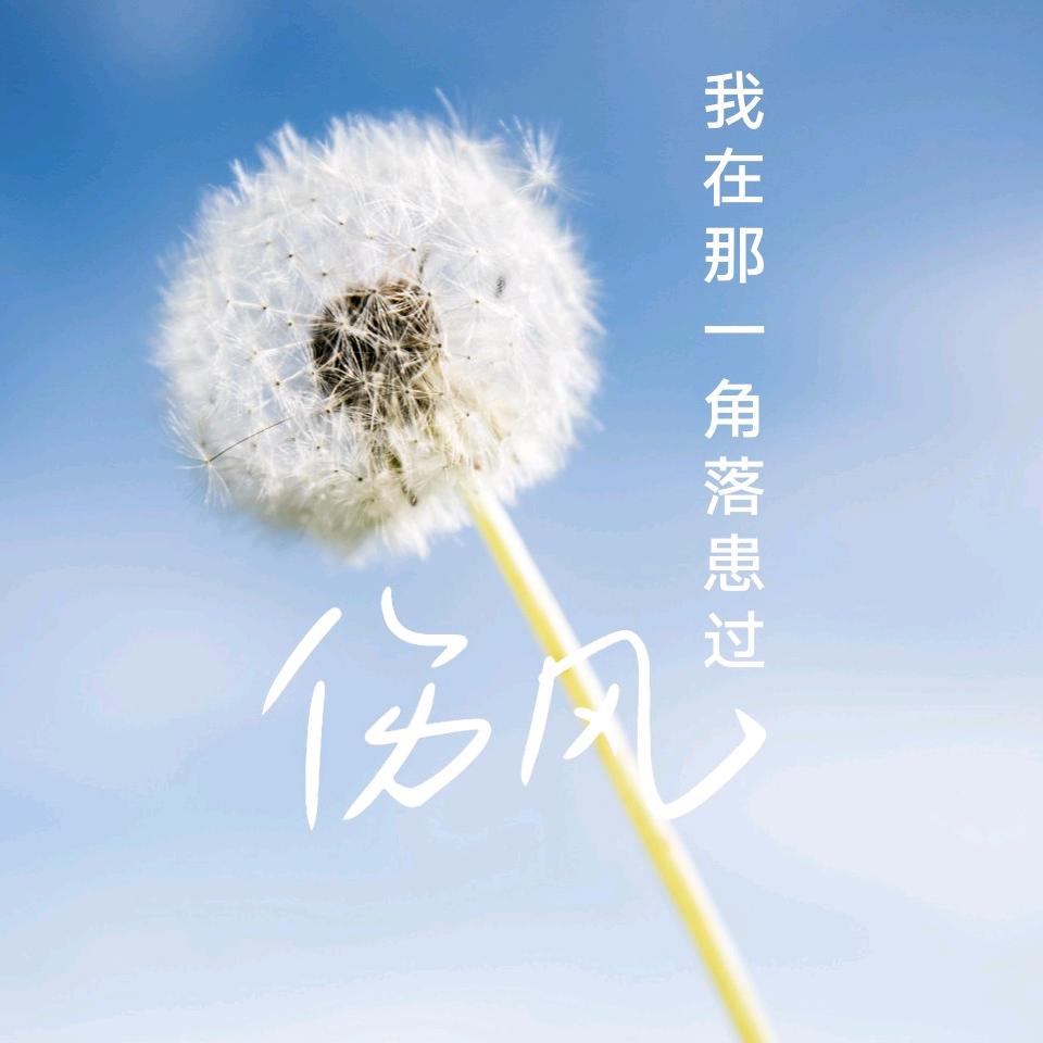 🌺姐