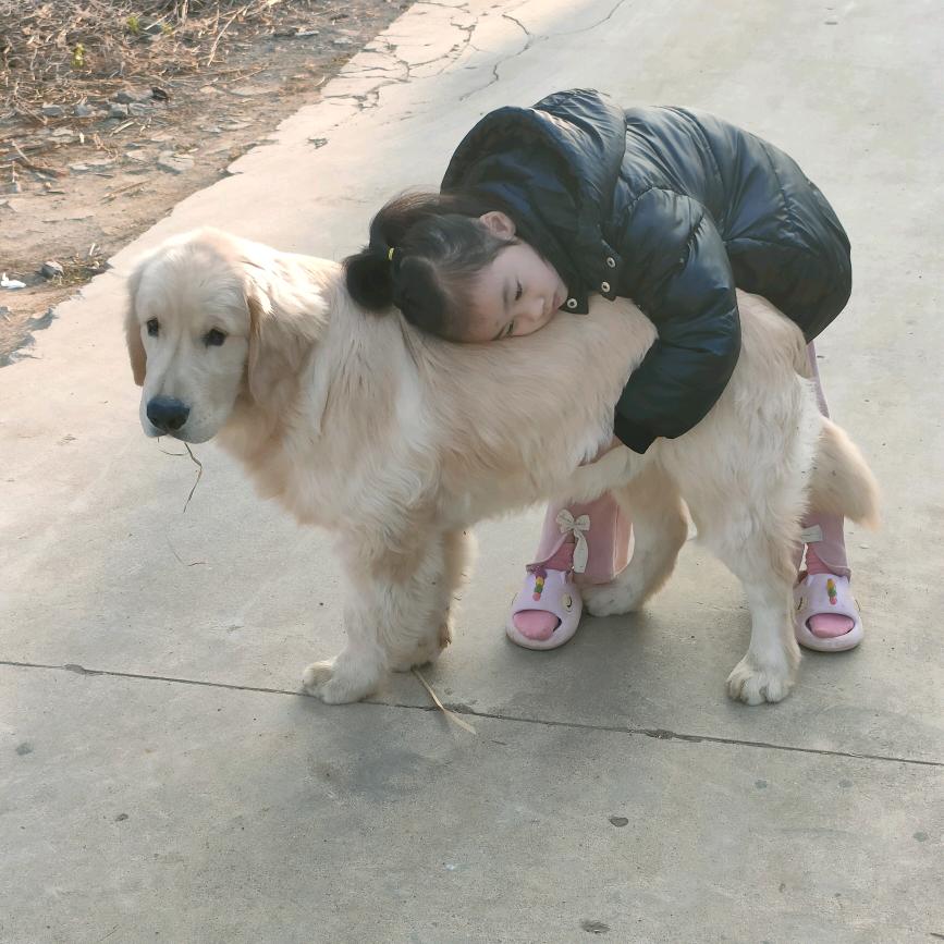 赵大婶