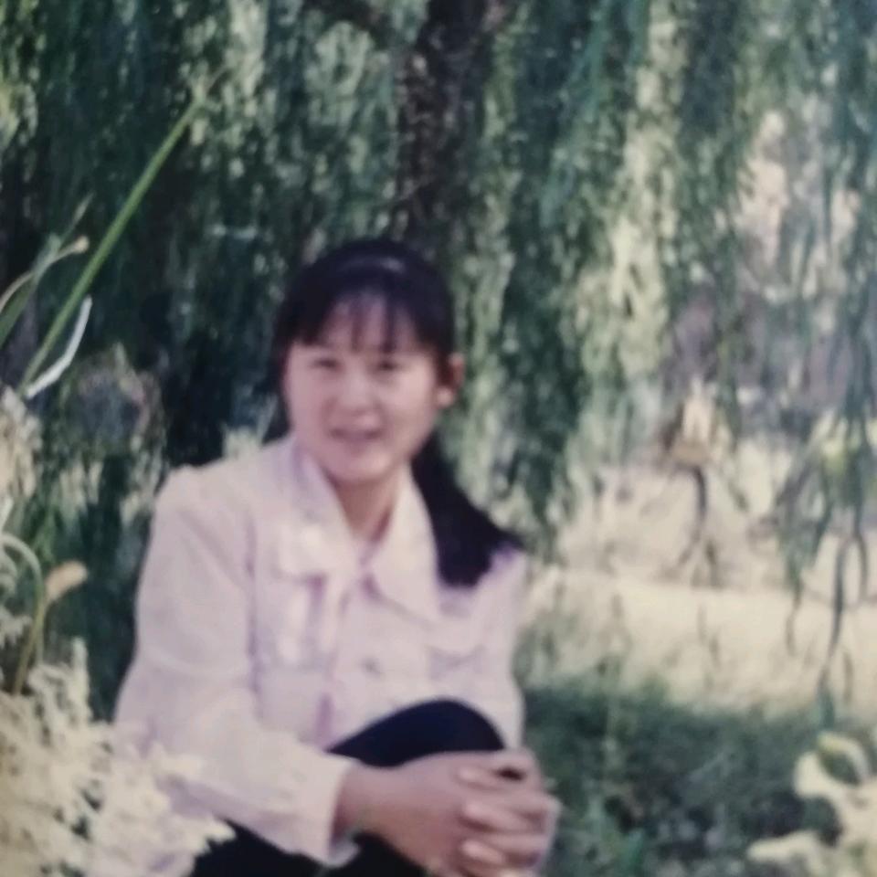 奇花异草(不定时)