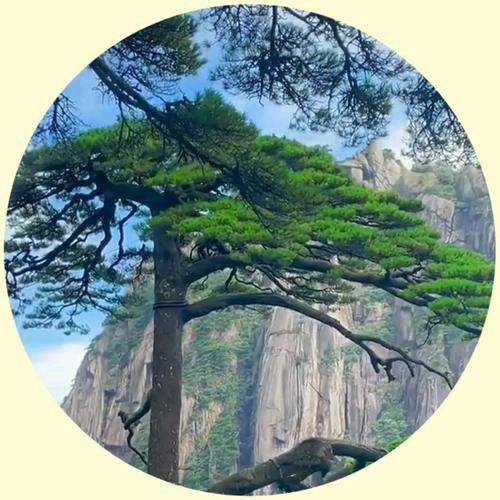 小朱酒旅特惠