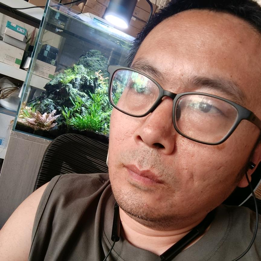 《回关》疯狂的水草