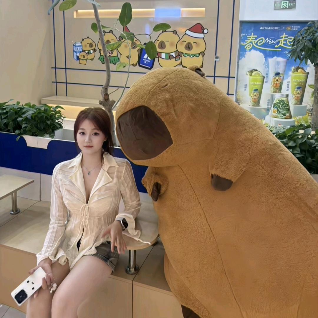拾贰¹²