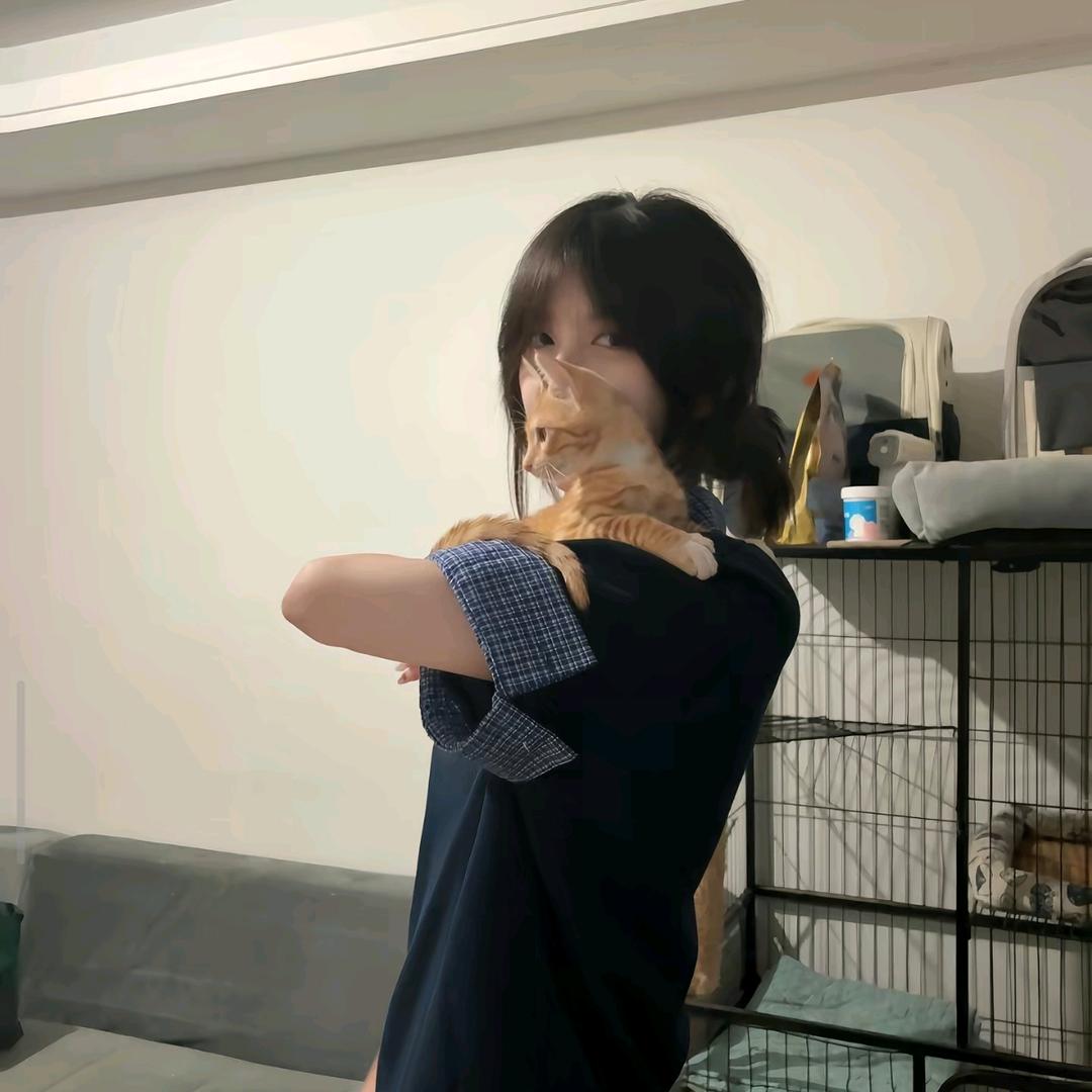 专业调琴师