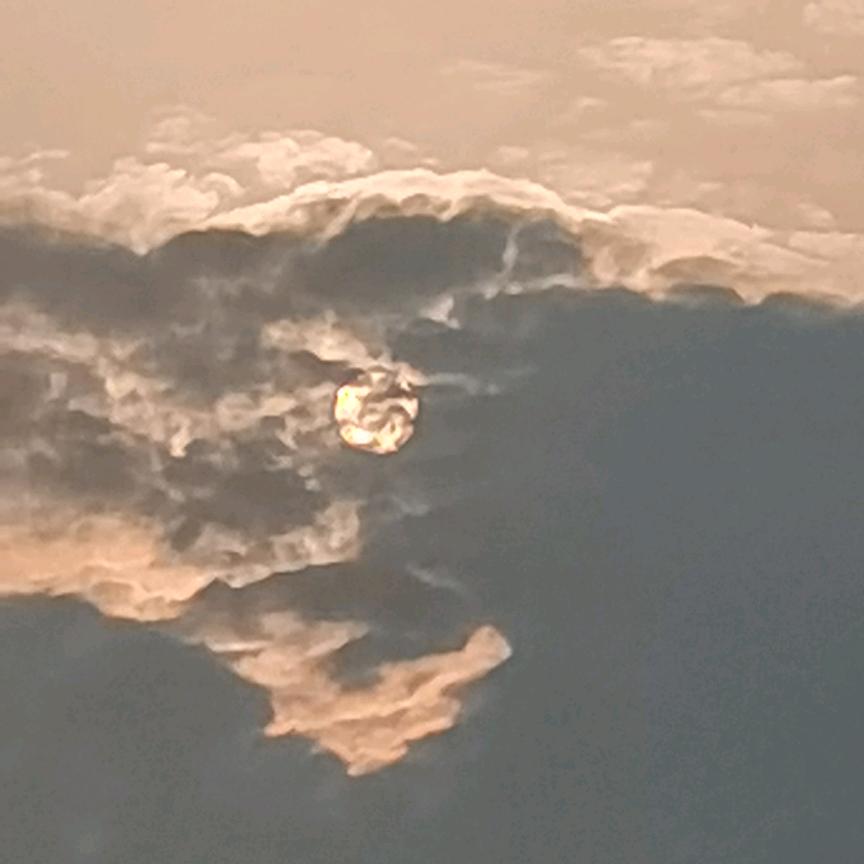 狼毒
