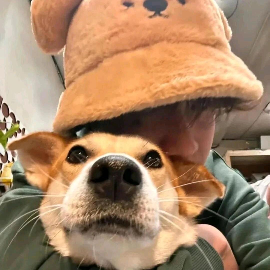 控心.