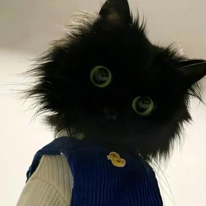 发呆魚੭ﾞ