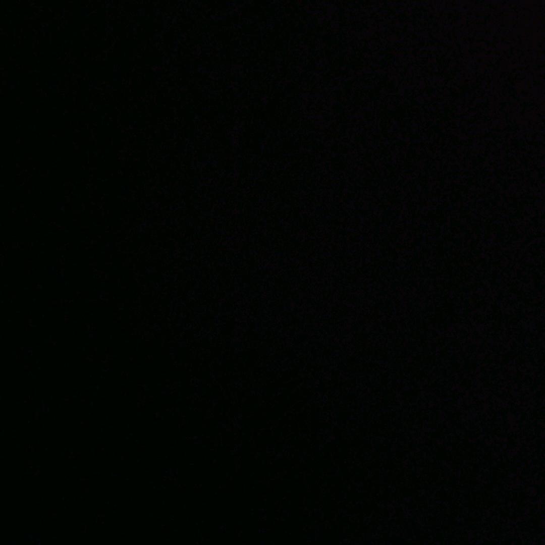 昂鸠