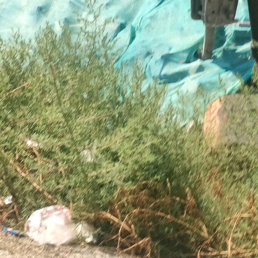 道主之红尘炼心