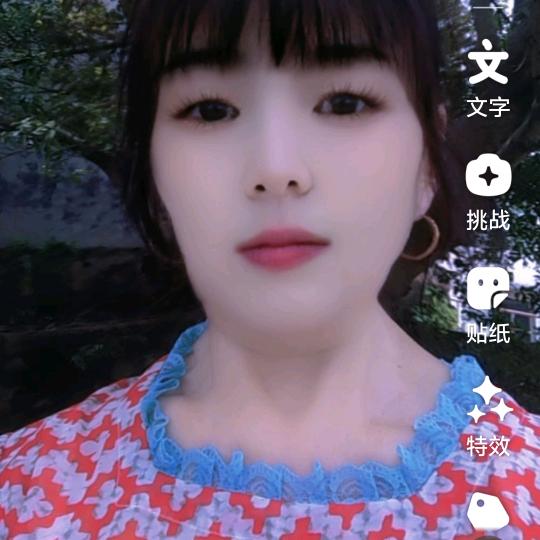 春花99