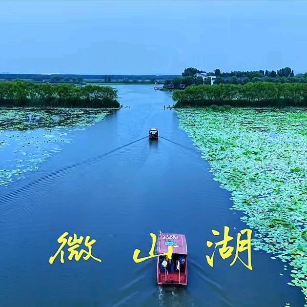 老马鲜鱼馆官方号
