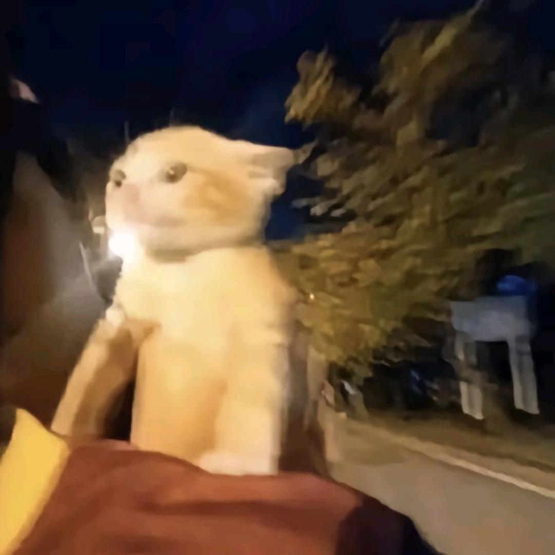 小依依yiyi