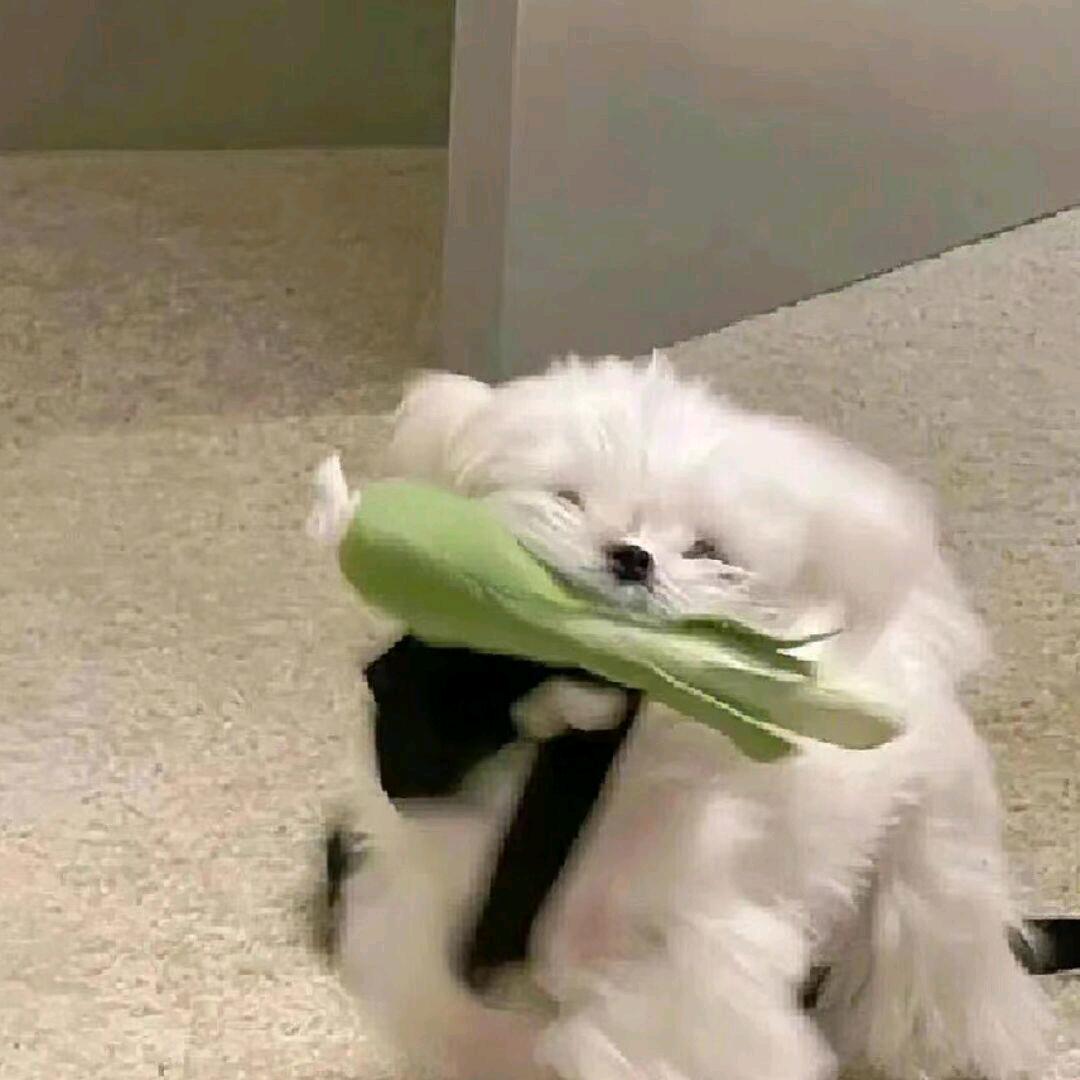 上六