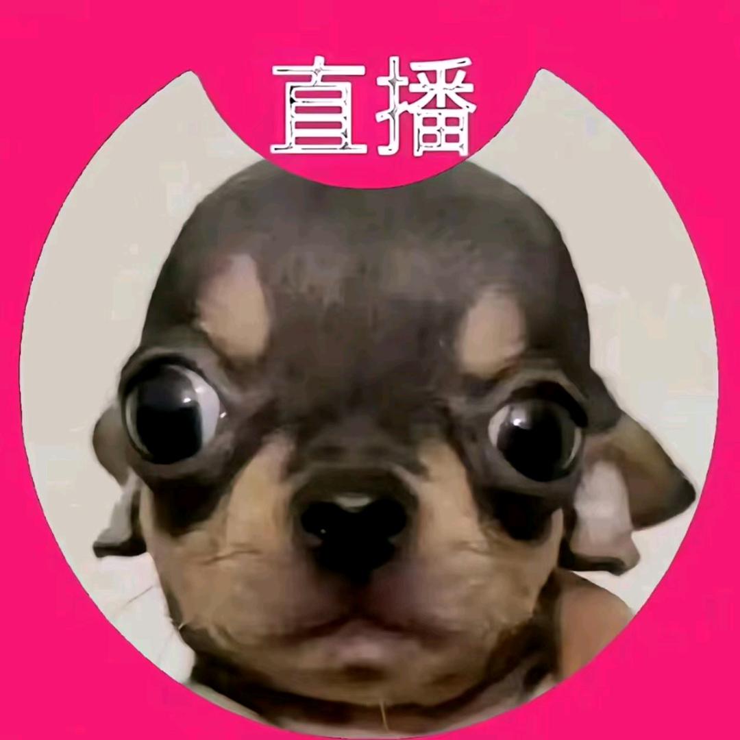 福洮箫箫