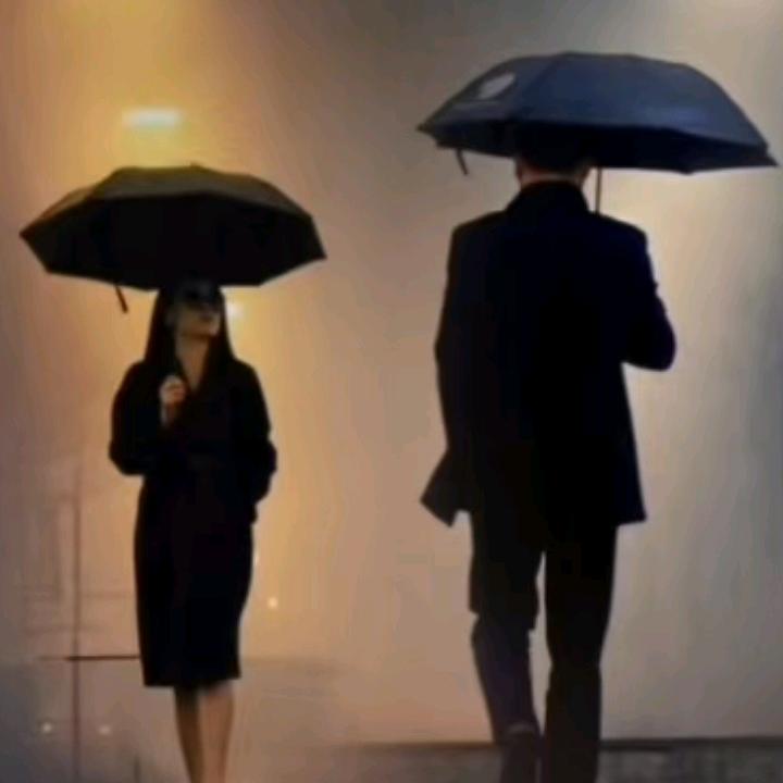 《独行风雨中》