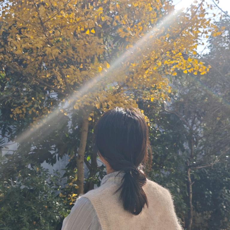 是凤梨不是菠萝