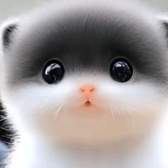 风晓
