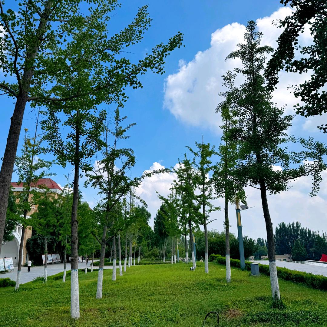 红鲤鱼与绿鲤鱼与驴
