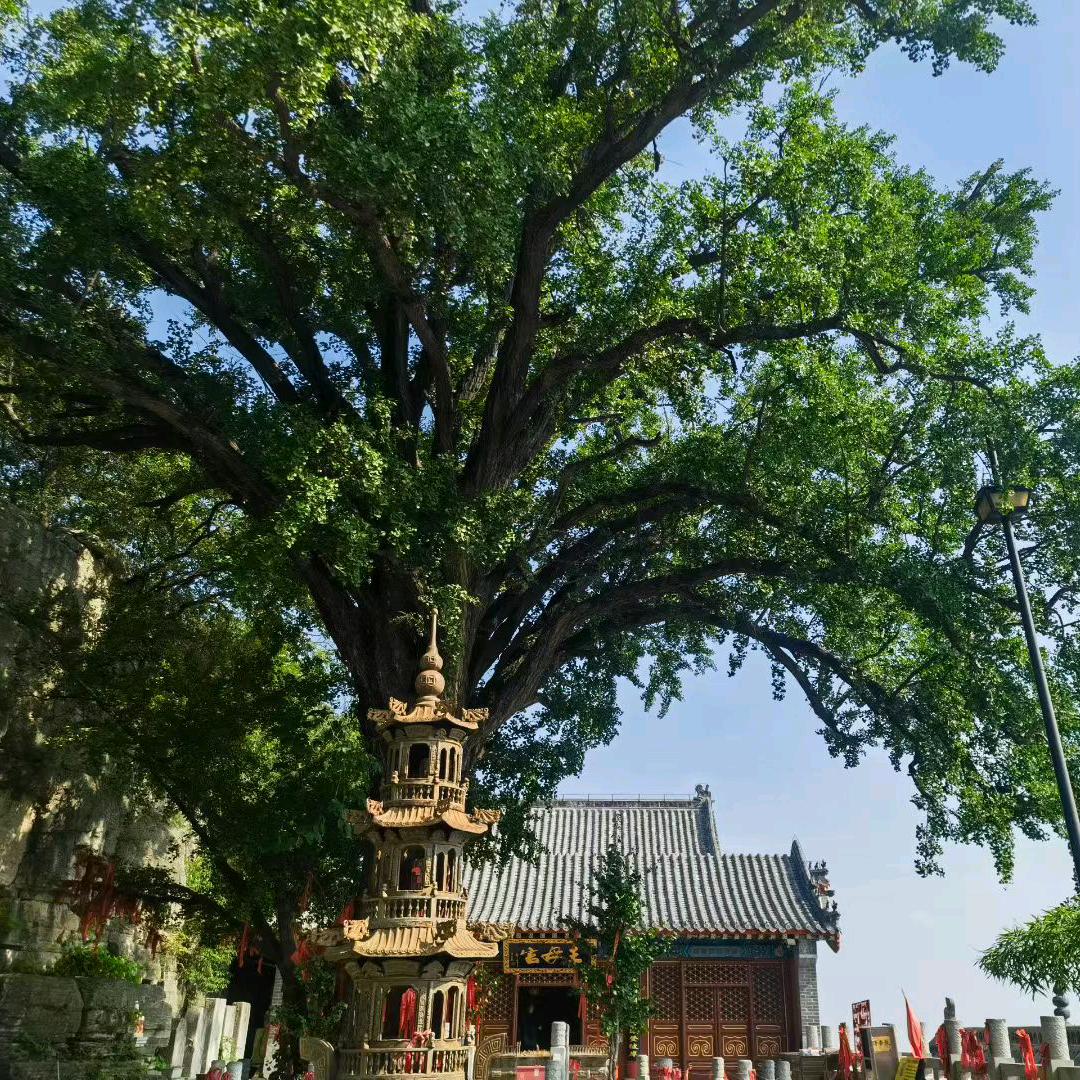 ღ᭄💞浅笑᭄ᩚ꯭ᩚ℘安然᭄ᩚ꯭ᩚ💞