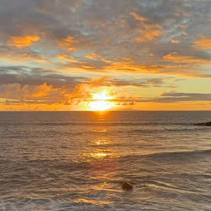 你也喜欢雷子嘛