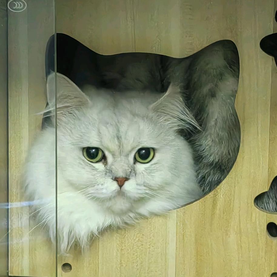 小宇
