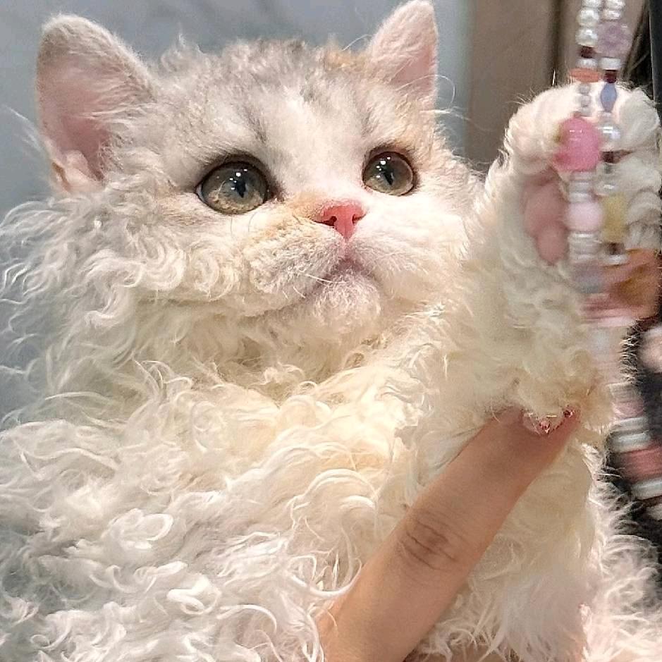 我在地球偷空气