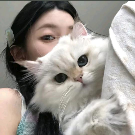 樊文花吾悦广场店