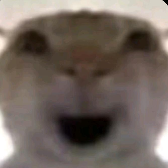 质