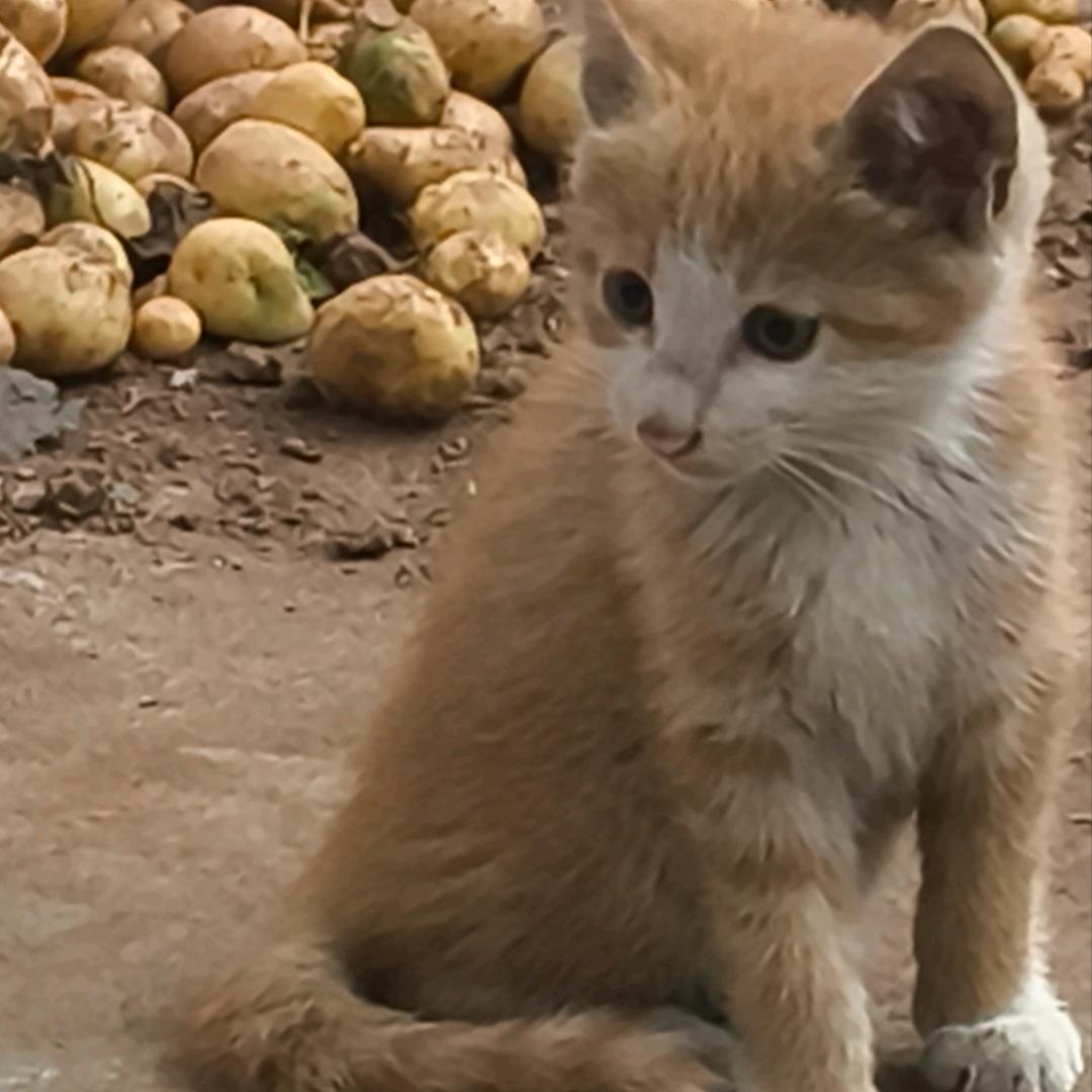 这个世界是个大坑