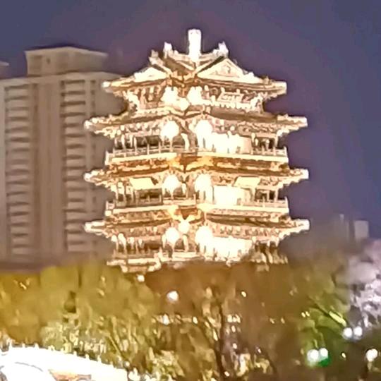 会飞：的鱼