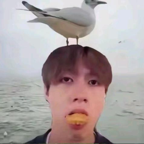 汉堡🍔