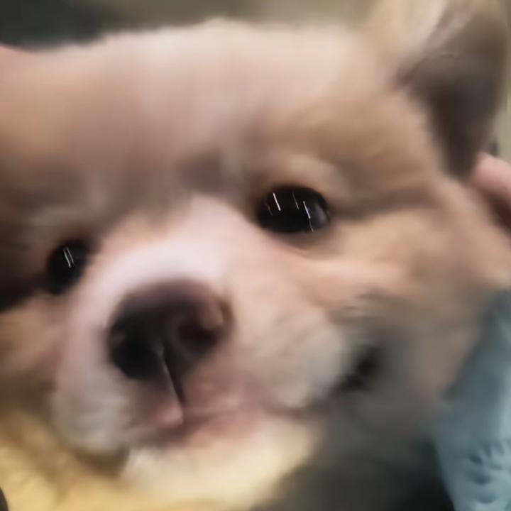 小冻梨˃◡˂