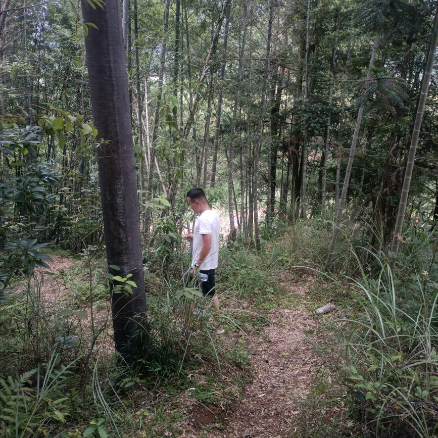 我的乳名叫小康