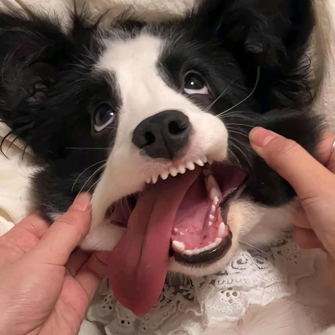 小巫不理发头像