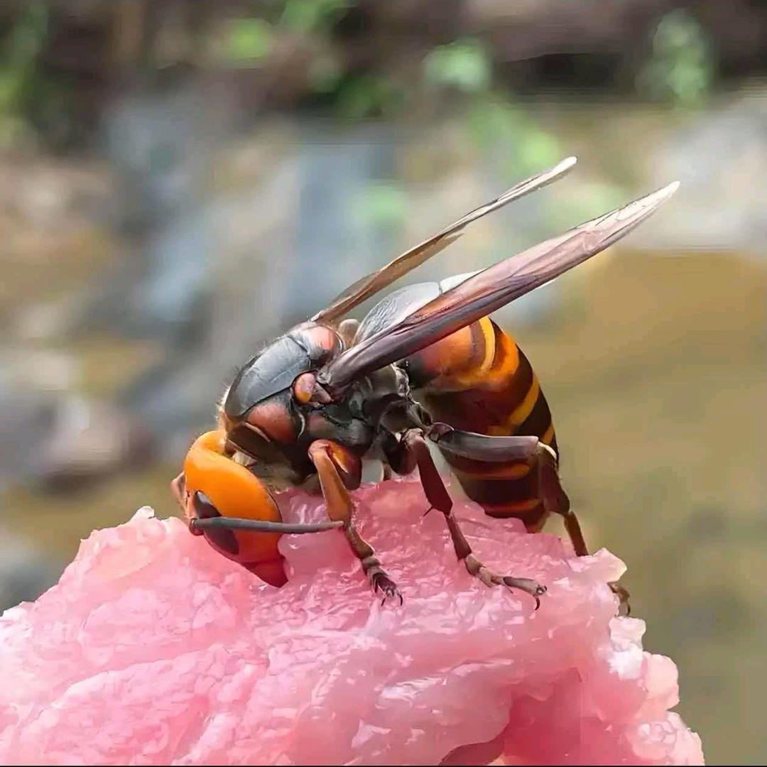 云贵川三农产品