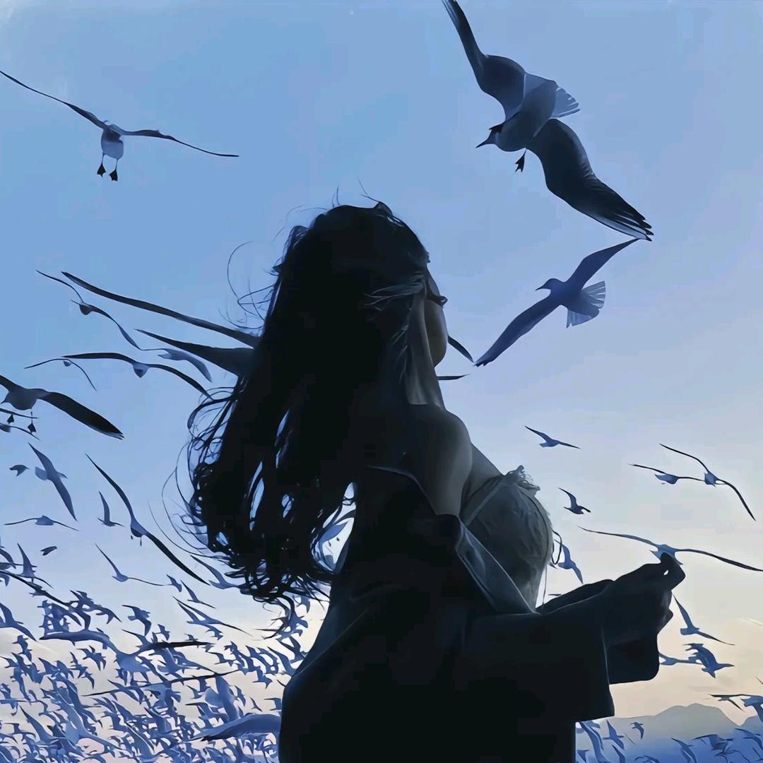 西瓜🍉（请勿连赞）