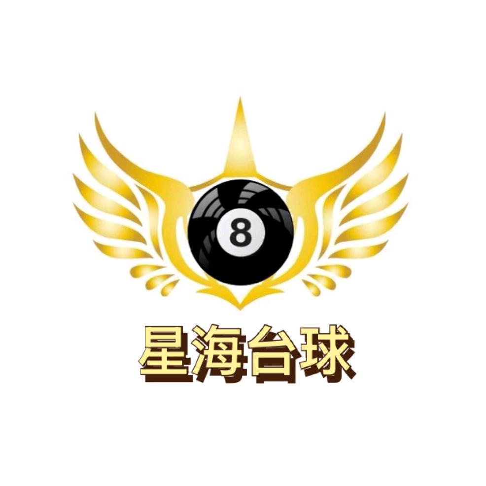 星海台球家家悦店助教