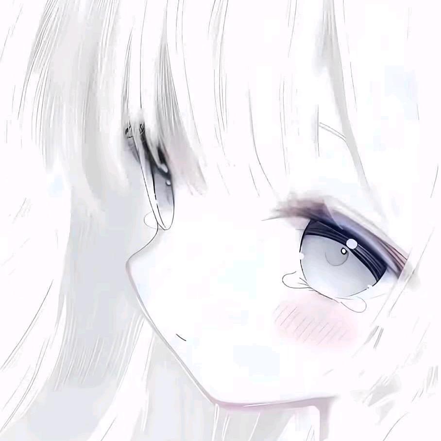 单曲猫咪