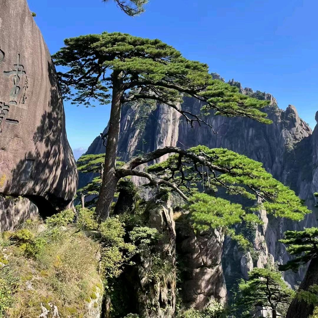赤峰传说哥