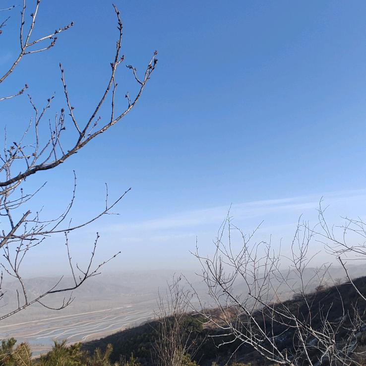 鑫旺
