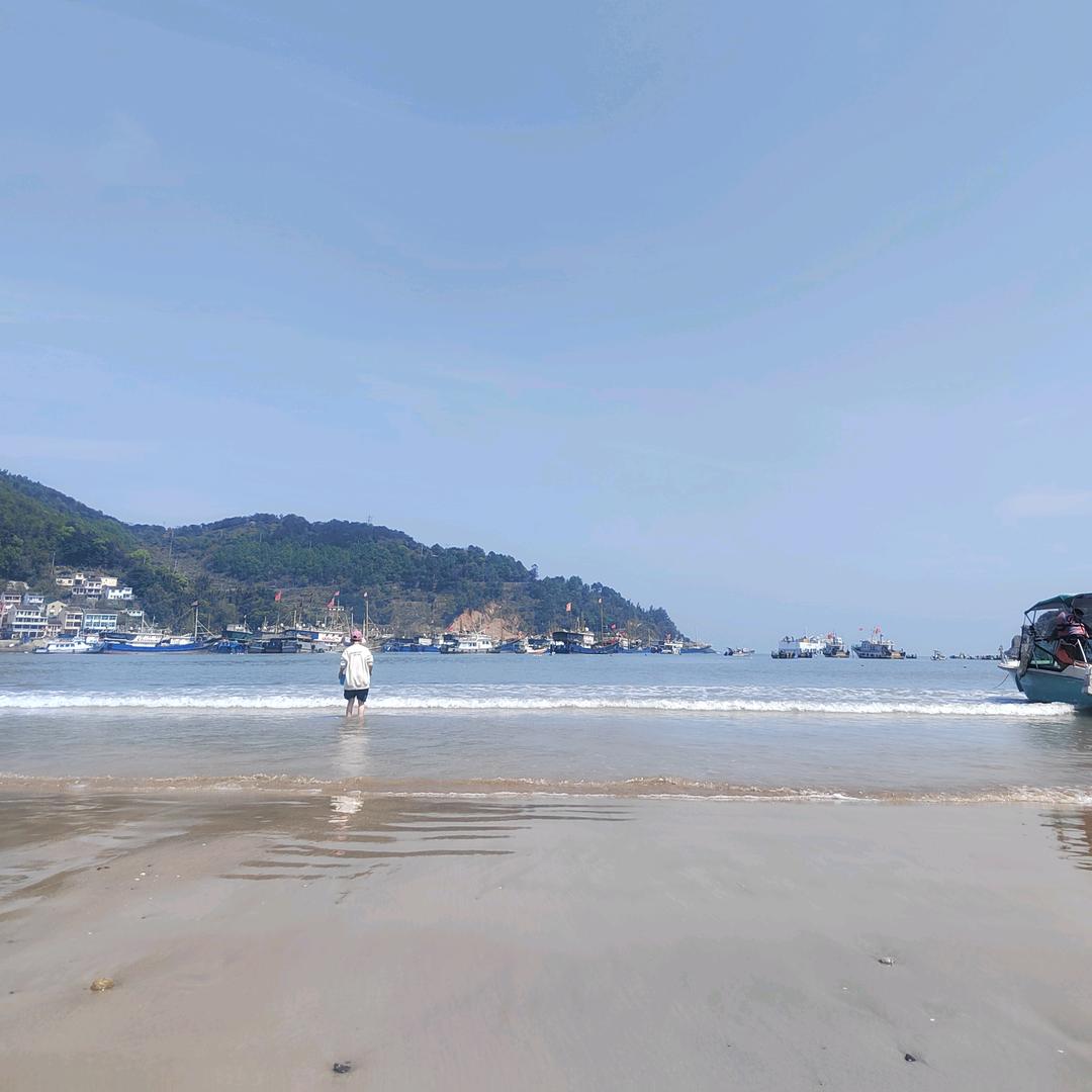 锦鲤鱼
