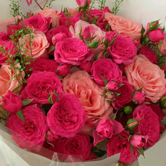 芳草儿&