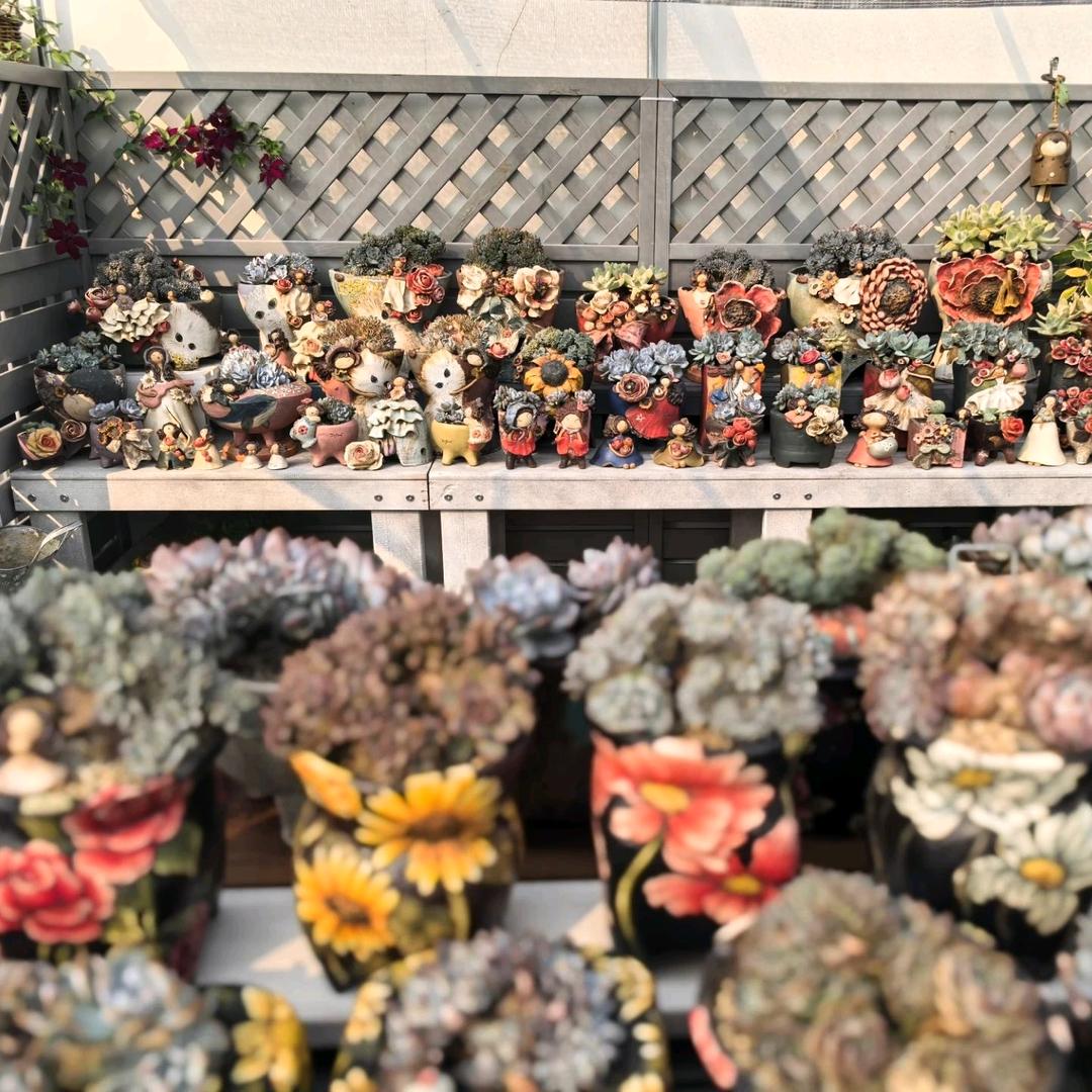 🍀🌸🌼铃铛的花花世界🐾