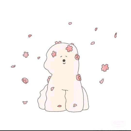 一支生菜⁶⁶