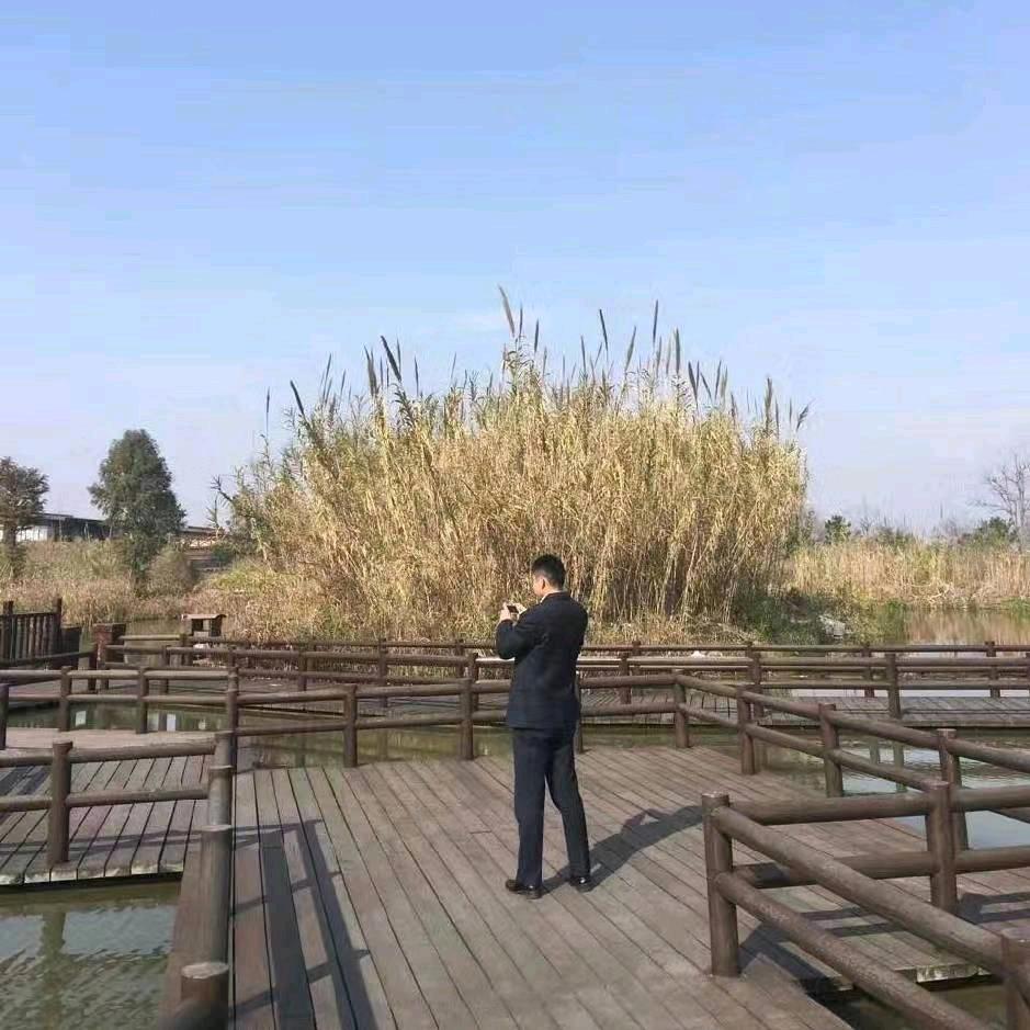 此号已停用