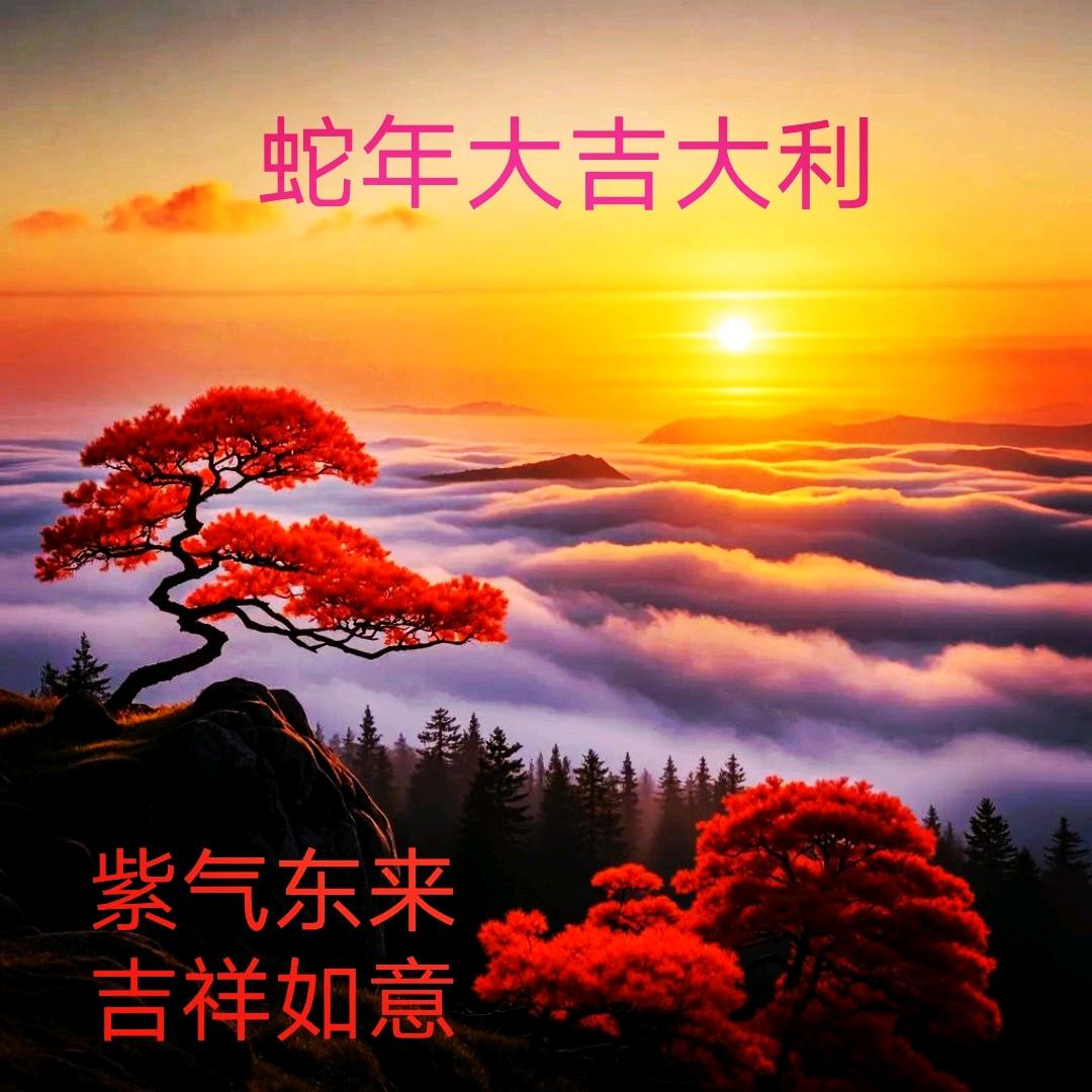 feng